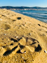footprints on the sand
