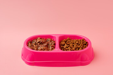 Dry pet food in bowl on color background