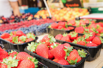 市場に並ぶ新鮮なフルーツ