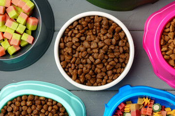 Various pet bowls with dry food on gray wooden background