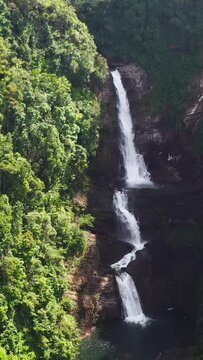 Waterfall in the green forest. Sri Pada Falls in the jungle. Maskeliya, Sri Lanka.