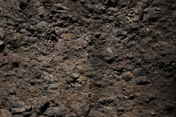 soil in the soil