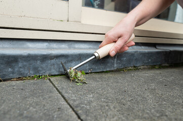 Hand Weeding Pavement with Garden Tool