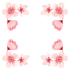 Watercolor hand drawn pink sakura flower square frame isolated on white