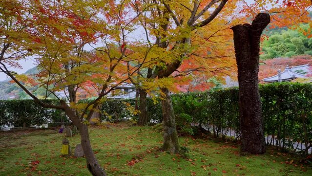 京都　化野念仏寺（あだしのねんぶつじ）の紅葉