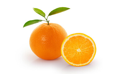 Orange  on white background - 730718121