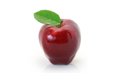 Red apple on white background - 730718317