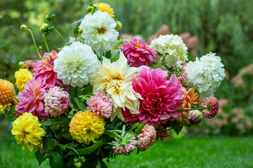 Kompozycja kwiatowa z kwiatów dalii, astrów i hortenji w ogrodzie, bukiet kwiatów, bouquet of dahlia flowers - obrazy, fototapety, plakaty