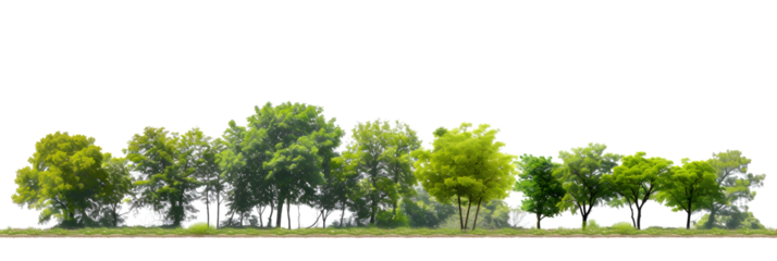 Green Trees isolated on white background