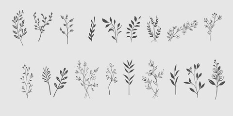 Set Floral branch and minimalist leaves for logo or tattoo. Hand drawn line wedding - obrazy, fototapety, plakaty