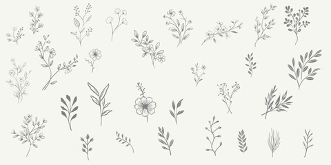 Set Floral branch and minimalist leaves for logo or tattoo. Hand drawn line wedding