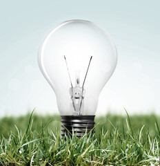 light bulb with grass