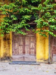 Fototapeta na wymiar old wooden door on a bright yellow wall and tree leaves arch