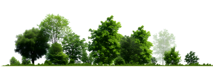 Green Trees on transparent background