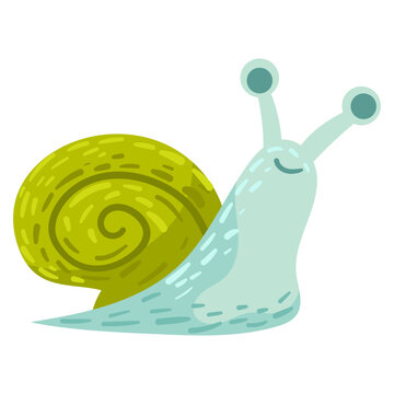 vector snail illustration