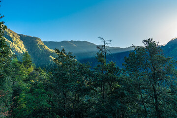 Obraz premium Suns rays on green mountain top