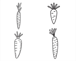 Hand drawn Carrot On White Background Vector