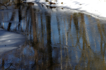 冬晴れの湯の湖畔。朝もやのなか、水鳥が悠々と泳いでいた。朝もやが立ち込める中、まるで温泉に浸かっているようにも見えた。湖面に積もった白い雪が目に眩しい。氷の裂け目からは背景の雪を抱いた山々の姿が映りこんでいた。風もなく穏やかで、日差しの温もりも優しい。いつまでもここにこうして佇んでいたい気持ちになった。この平和なひと時、果たしていつまで続くのか。