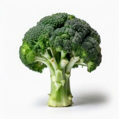 broccoli on a plain white background