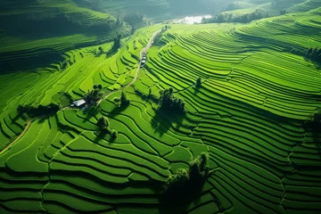 Fotobehang A stunning aerial photograph of bright green terraced rice fields, showcasing the intricate patterns and a winding path through the fields. © GreenMOM