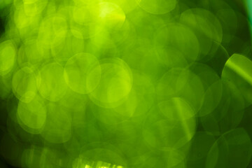 green blur background, holiday texture