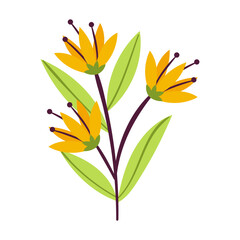 vector flower object illustration