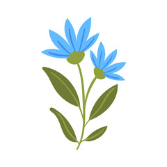 vector flower object illustration