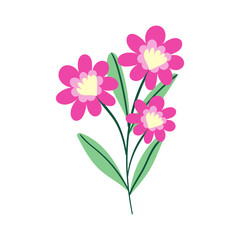 Obraz na płótnie Canvas vector flower object illustration