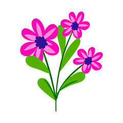 vector flower object illustration