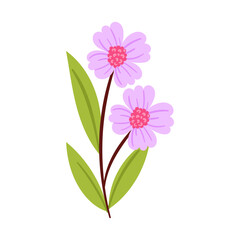 vector flower object illustration