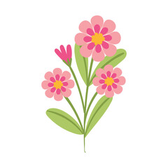 vector flower object illustration