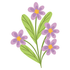 vector flower object illustration