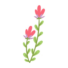 Obraz na płótnie Canvas vector flower object illustration