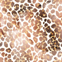 leopard-animal