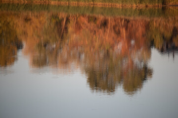 glare and reflections on the water. the sky is reflected in the water. Background of waves, reflections, refractions and abstract diffractions, in the blue, clean and crystalline water. trees are refl