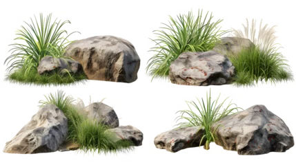 Poster Isolate various rock and grass composition landscape on transparent backgrounds 3d render png © john