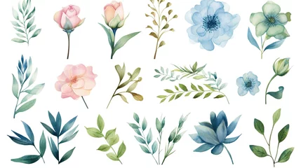 Foto op Plexiglas Watercolour floral illustration set. DIY blush pink blue flower, green leaves individual elements collection - for bouquets, wreaths, wedding invitations, anniversary, birthday, postcards, greetings., © irvan