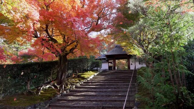 京都　安楽寺の紅葉