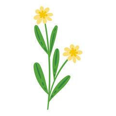 vector flower object illustration