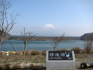 春の精進湖と富士山の風景