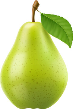 Raw realistic green pear fruit. Ripe whole isolated 3d vector pear with leaf, its smooth skin glows with verdant hues. Succulent fruit promises a burst of sweet juiciness with each refreshing bite