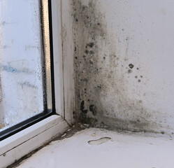 mold in the corner of a wet window