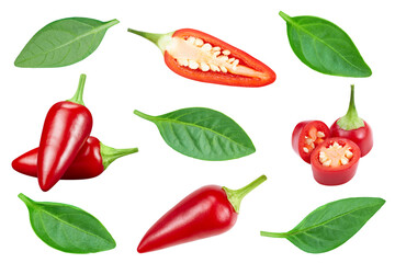 Fresh organic pepper isolated