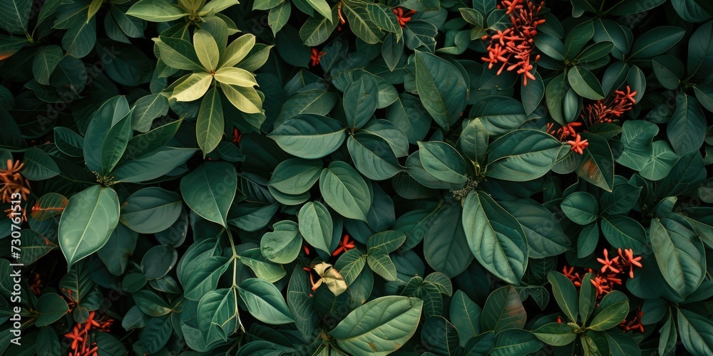 Poster A vibrant image featuring a bunch of green leaves and red flowers. Perfect for adding a pop of color to any project