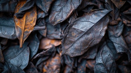 Several fermented black tea leaves up close. Generative Ai.