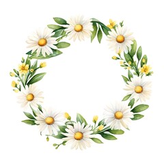 Watercolor elegant Daisy flower wreath illustration on white background for season nature holiday design art