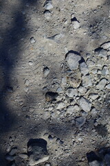 gray stones. texture of stones. rocky ground.