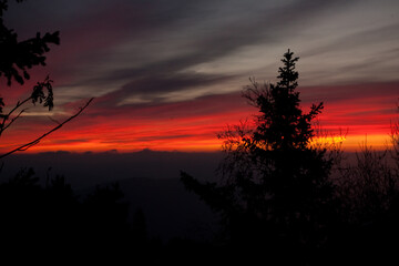 Vibrant red and orange sunset over dark forest landscape with pine tree silhouettes in foreground