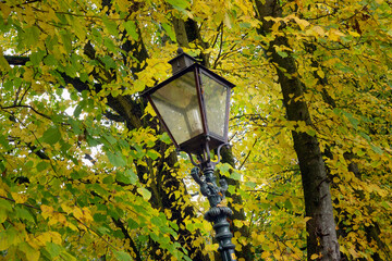 Lantern. Fall colors. Beech trees. Roden Drente Mensinge Estate Netherlands. Landgoed Mensinge....