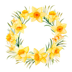 Watercolor spring wreath with yellow Daffodils flowers and green leaves element clipart illustration